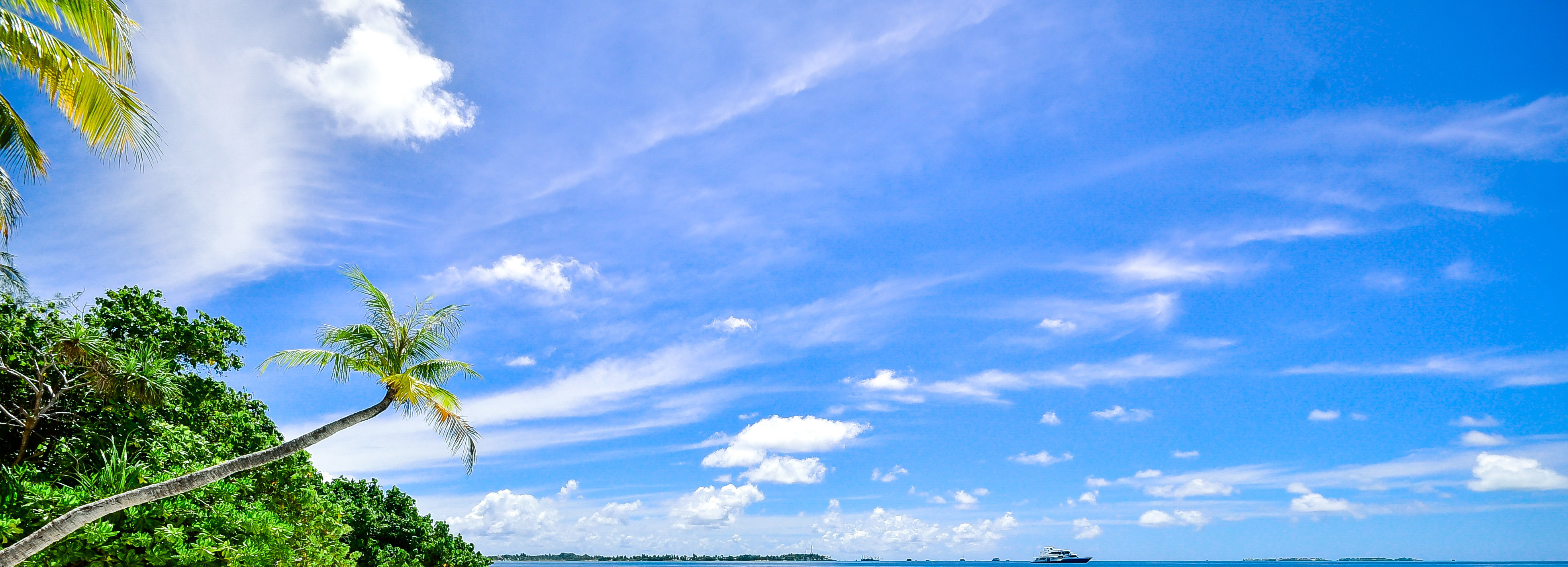 Check out the latest Drupal News